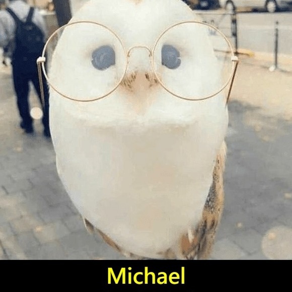 michael2hawks